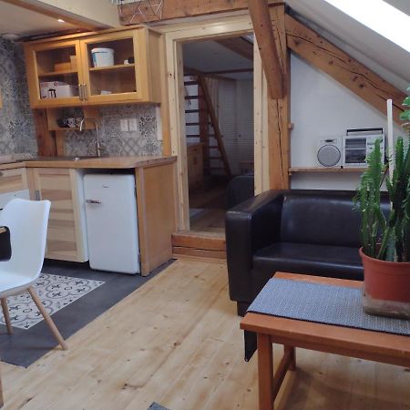 Studio Blizko Centra, Zilinska 20 Bratislava Dış mekan fotoğraf