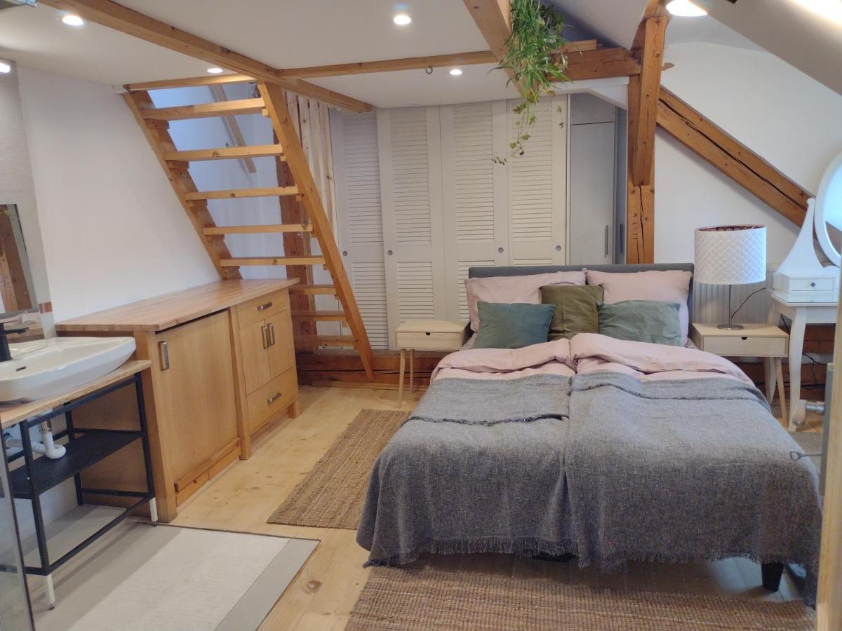 Studio Blizko Centra, Zilinska 20 Bratislava Dış mekan fotoğraf